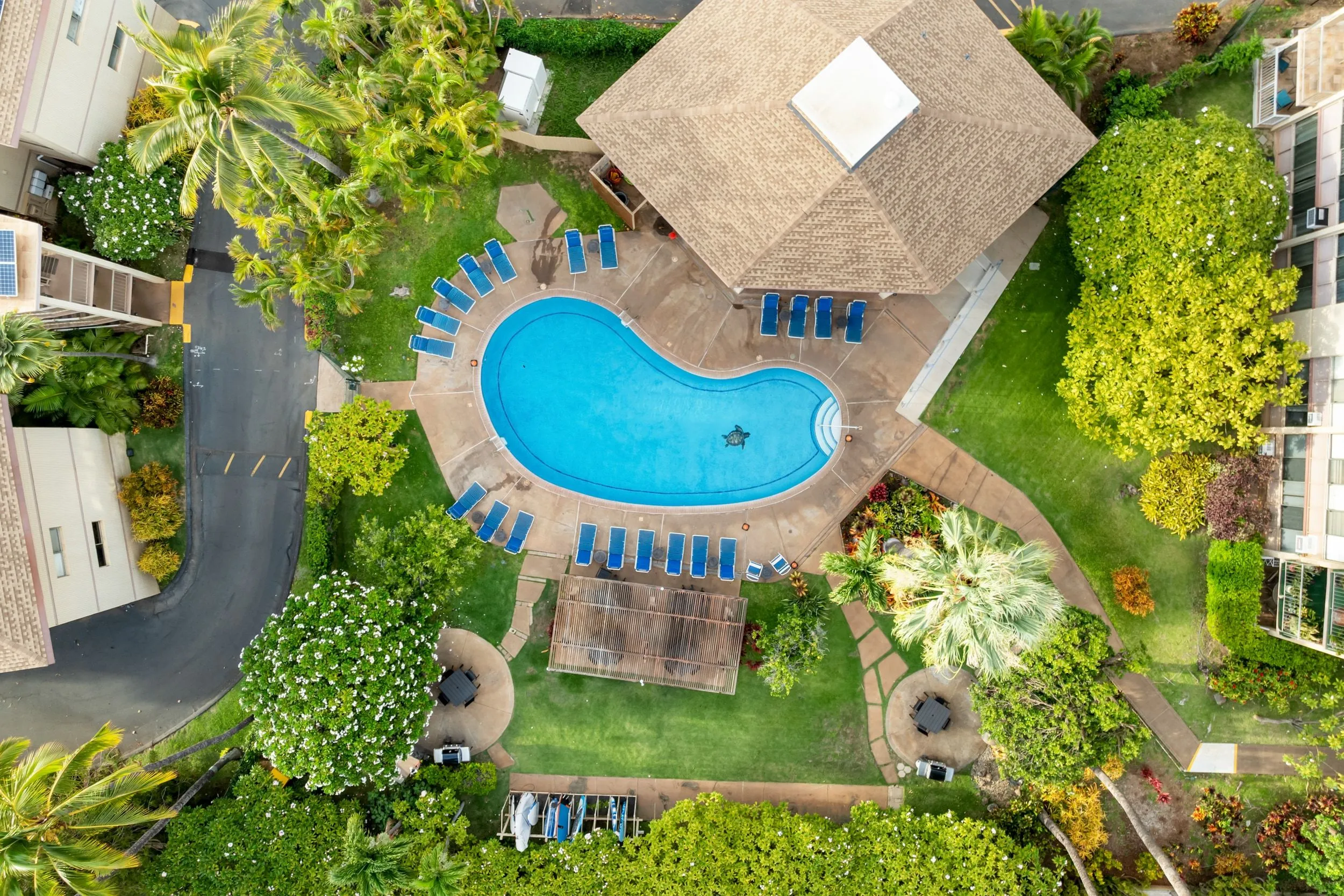 Aerial view looking straight down on the resort pool and its thatched shelter