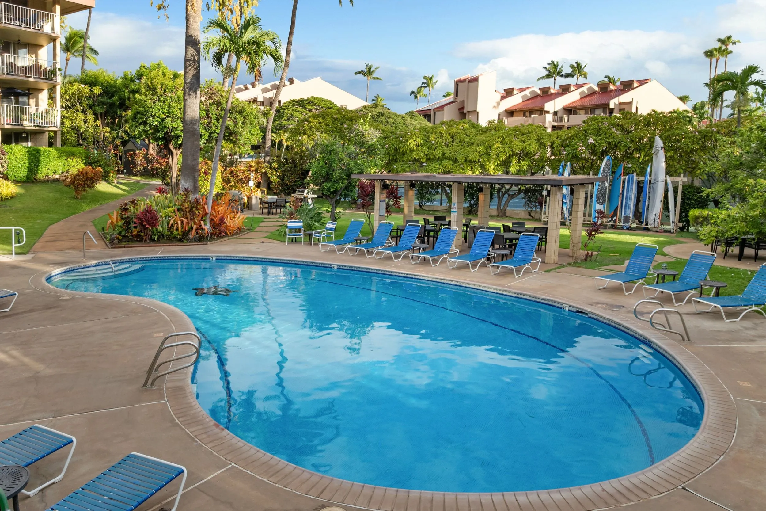 Resort swimming pool and lounge chairs in the courtyard